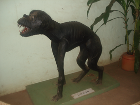 Paraguay Paranormal: El Luisón  Mythical creatures, Animals, Us park