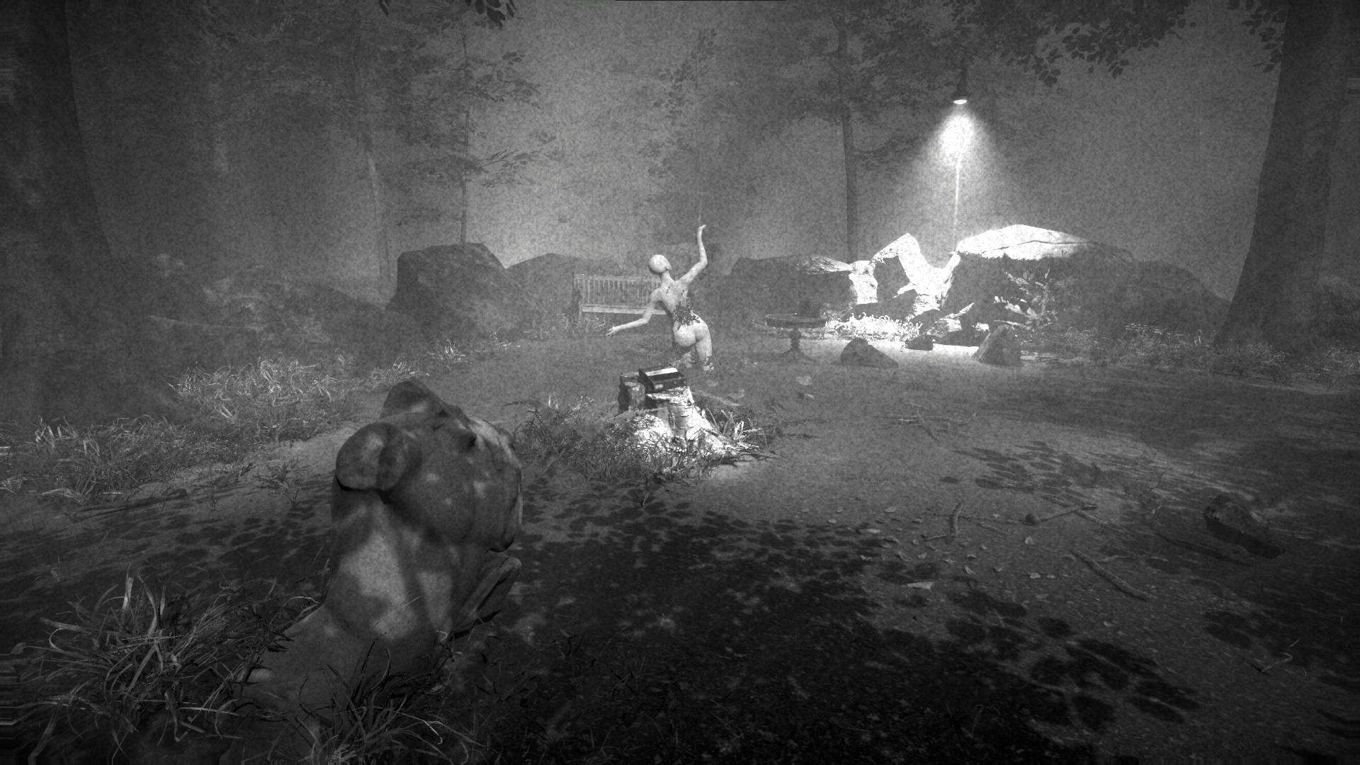 The Colossus is Coming 2 - a black & white clearing with broken branches and old statues