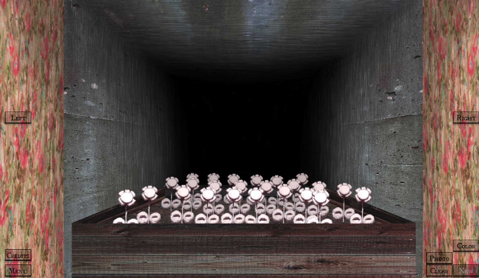 Springtime in the Flower Chamber - a bed of gray flowers sit in a flower box in a concrete room