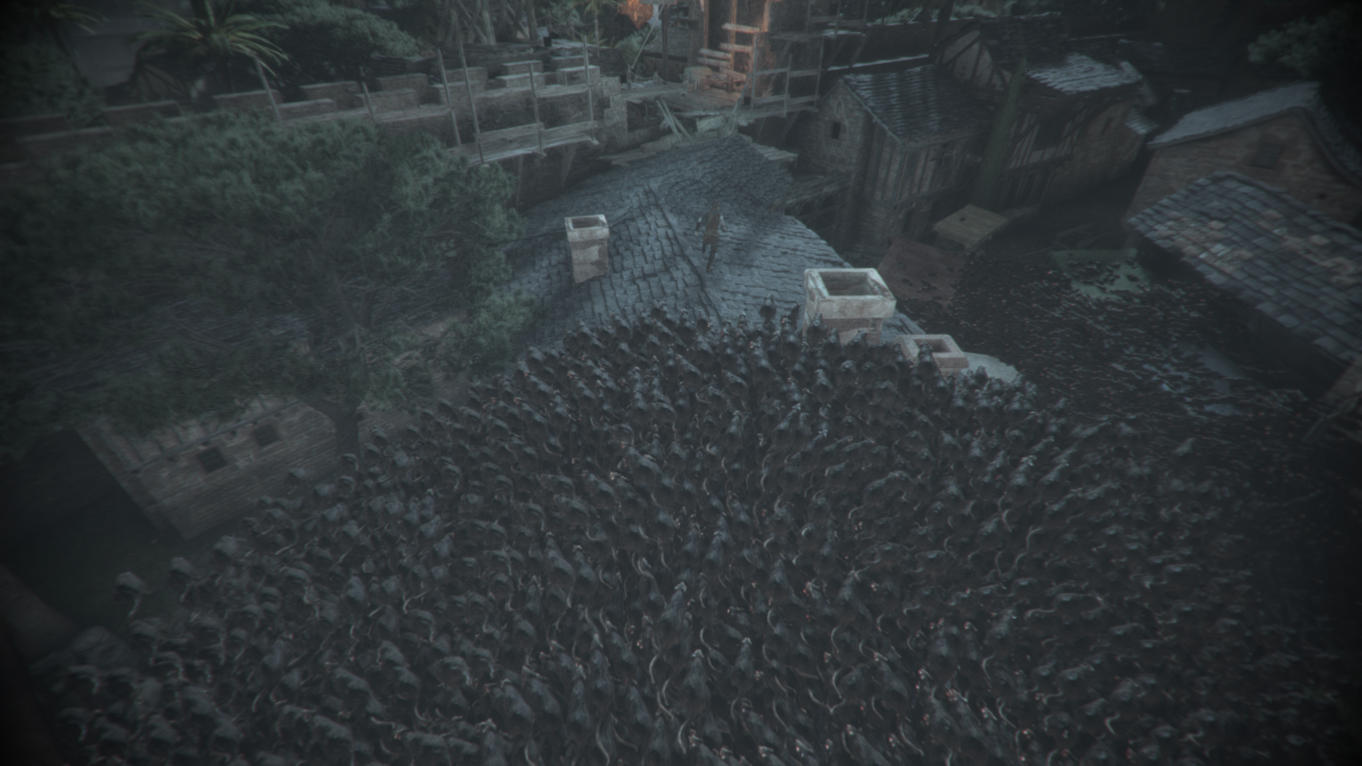 Plague Tale Rats